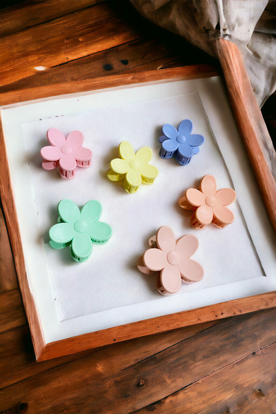 AYMETA TİCARET موديل باباتيا 6 قطع 6 سم مشبك مزلاج كبير