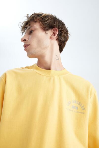 DeFacto Φούτερ Regular Fit printed με μαλακή γραμμή