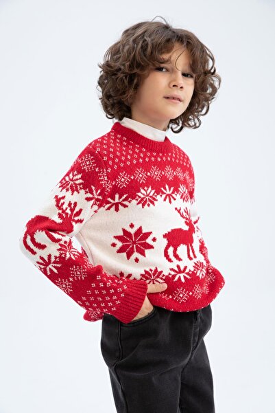 DeFacto Boy's New Year Themed Crew Neck Sweater