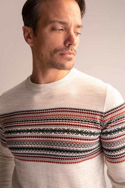 DeFacto Regular Fit Crew Neck Sweater