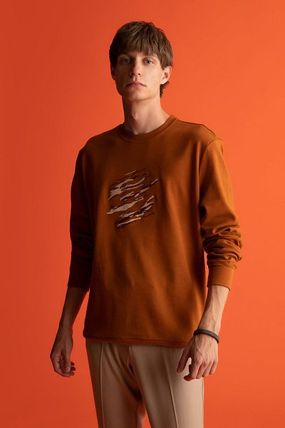 DeFacto Μοντέρνα φούτερ Premium Fit Crew Neck