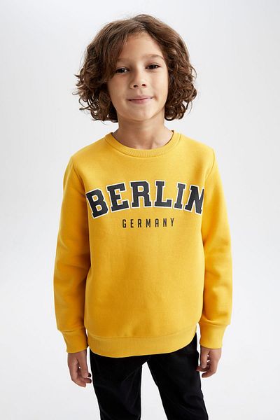 DeFacto Boy's Crew Neck Sweatshirt