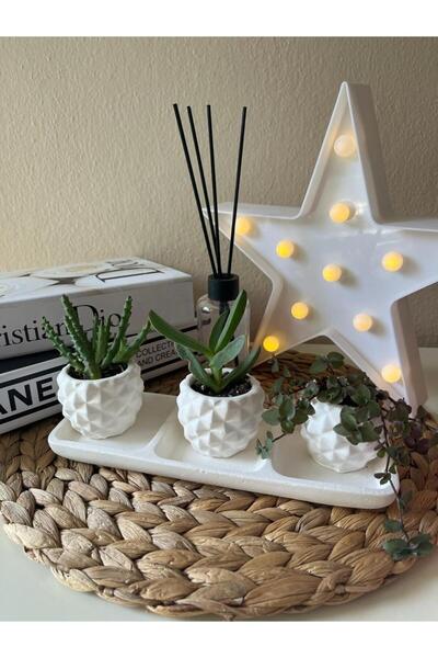 MİMİKRİ HOME dekoratif minimal 3 lü saksılık ve tabanlık