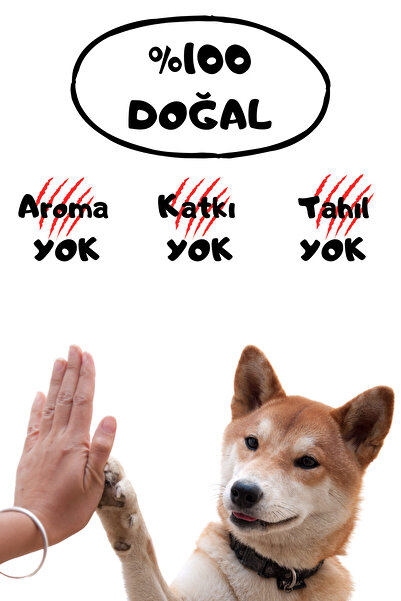 Havhav Doğal Köpek Ödül Maması 4 Adet Katkısız Köpek Ödül Maması Seti %100 Kurutulmuş Et Sığır Çubuk Çerez