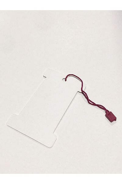 Grdall 100 Pieces of Locked String Product String Locked Label String Claret Red Color