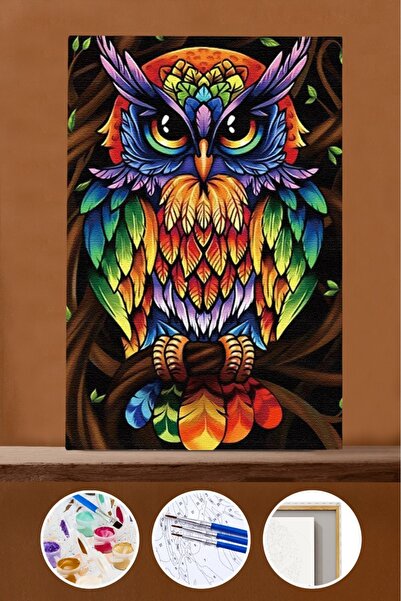 kendinyaphobi Sayılarla Boyama Seti Çerçeveli Kasnaklı Baykuş 5 40 x 50 cm