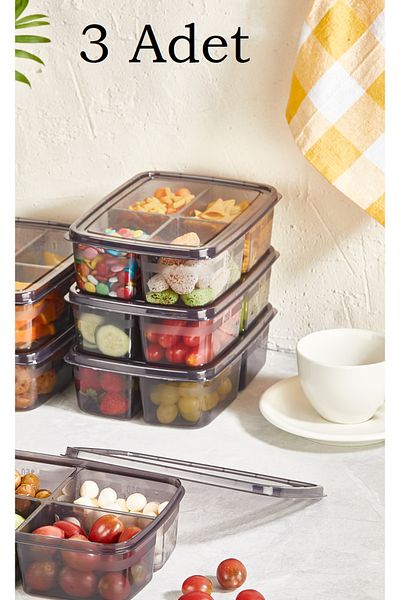 Bayev 3 Pieces Smoked Large Frozen 4 Compartment Meat and Vegetable Storage Container Minced Meat Box