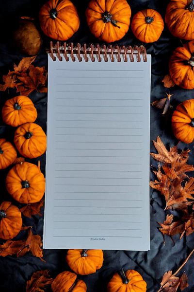SEYFİKİRTASİYE RIBBED 10X19 CM SIZE 80 SHEETS CARTON COVER WIRE NOTEBOOK CREAM COLOR 60 GR LIGHT PAPER NOTEBOOK