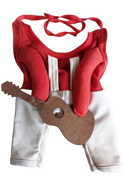 AMORE Crazy Guitarist Cat and Dog Outfit