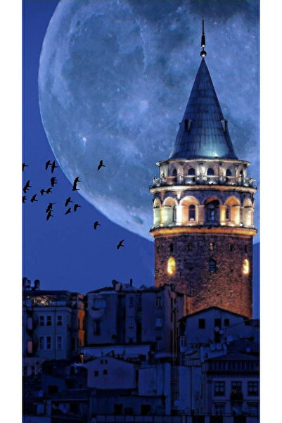 LİLYHOBBYLAND Renkli Baskılı Sayılarla Boyama Hobi Seti (Çerçeveli) 60x75 cm:...