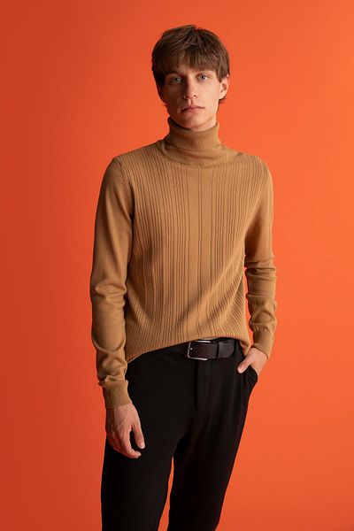 DeFacto Slim Fit Slim Fit Rollkragenpullover Rollkragenpullover X7391az22au