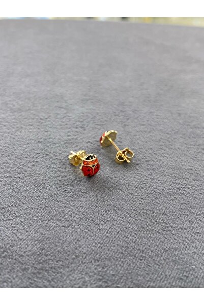 ARSLANTAŞ 1989 14 Ayar Altın Uğur Böcekli Vidalı Çocuk Küpesi