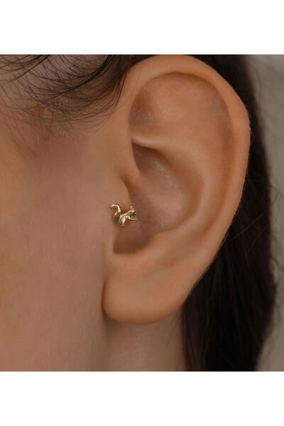 Elis Kuyumculuk Sincap Piercing (Tragus)