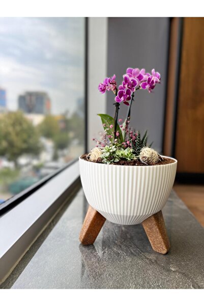 Elif Nostalji Ayaklı Saksı: 19 cm (2,8 Litre)