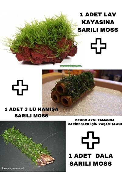 canlipetshop Moss Sarılı Karides Dekoru Yuvası ve Üreme Alanı 3 lü Set