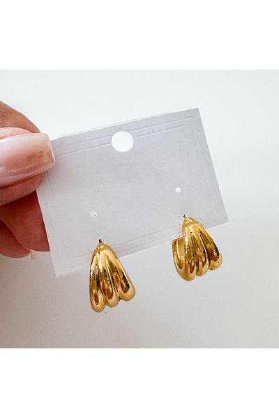 CHARMLUCKY Steel Earrings