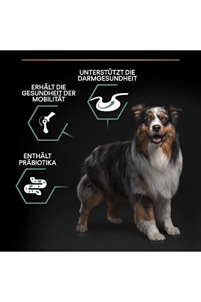 Pro Plan Medium Adult Kuzu Orta Irk Köpek Maması 3 kg