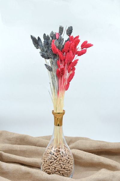 Dekora Çiçek 50 κλαδιά Anthracite-Red Palaris Flower Αποξηραμένο Βάσανο Πουλιών