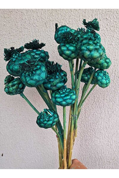 kutmen زهرة جافة استوائية باللون السماوي 10 قطع