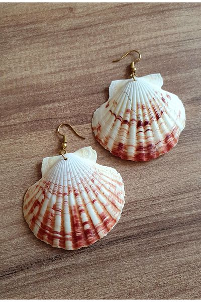 özde dekor Real Oyster / Sea Shell Earrings (GOLD COLOR METAL)