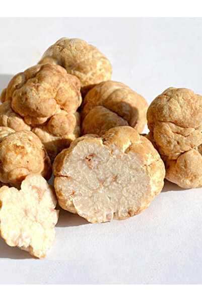 AMAZON TOHUM Beyaz Trüf Mantarı Tuber Magnatum Tohumu 200 gr