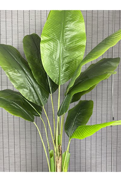 Bahçem Yapay Ağaç Muz Ağacı Yapay Starliçe Ahşap Dekoratif Saksılı 11 Yaprak ...