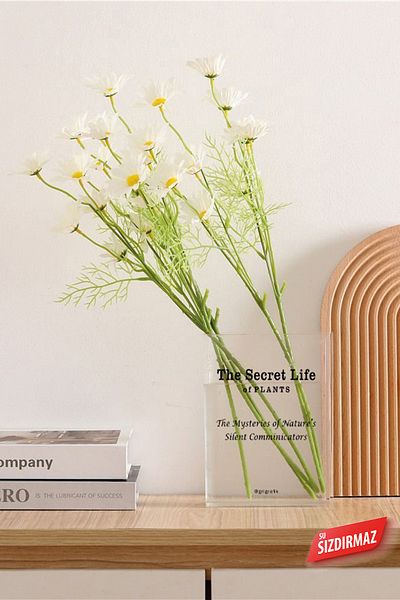 Gri Grafik Design Workshop The Secret Life Printed Transparent Book Vase