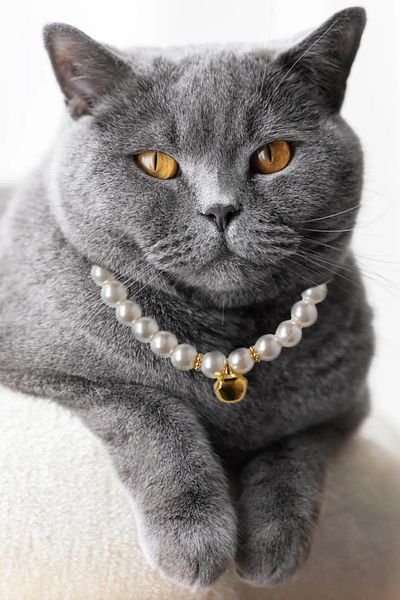 Karlay Pearl Cat Collar