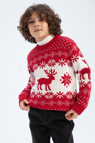 DeFacto Boy's New Year Themed Crew Neck Sweater