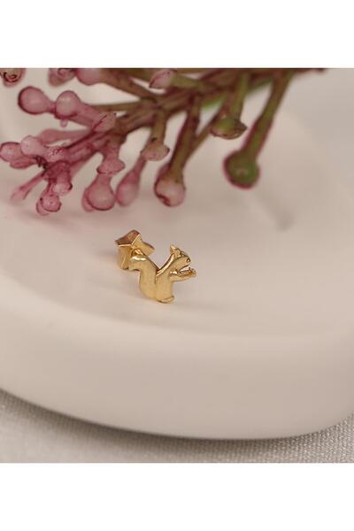 Elis Kuyumculuk Sincap Piercing (Tragus)