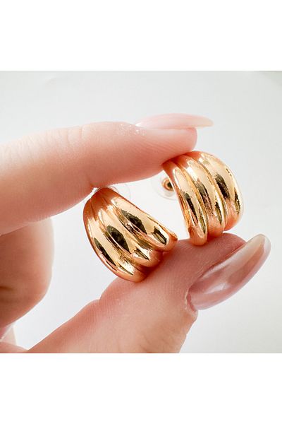 CHARMLUCKY Steel Earrings