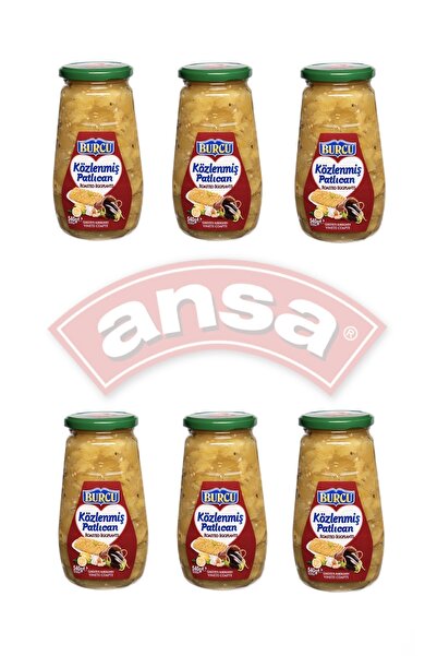 BURCU KÖZLENMİŞ PATLICAN 560 GR X 6 ADET