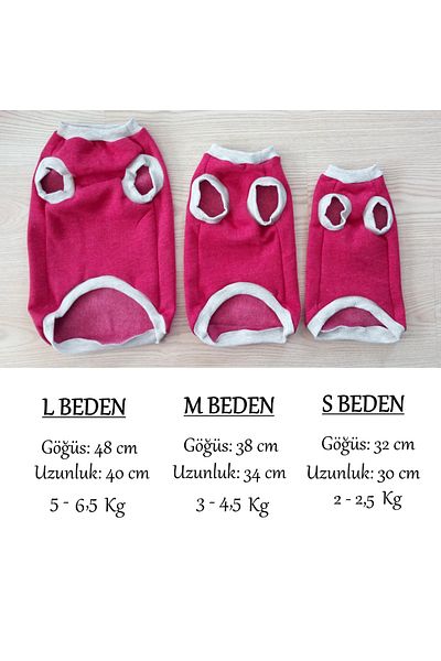 stylie Winter Birthday Special Sleeveless Charmed Cat And Small Breed Dog Outfit