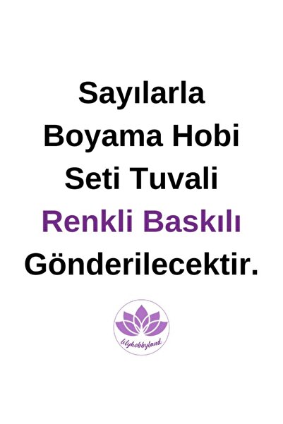 LİLYHOBBYLAND Renkli Baskılı Sayılarla Boyama Hobi Seti (Çerçeveli-Büyük Boy) 80x100 cm: Renklerin Dansı