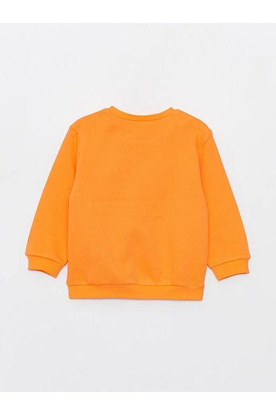 LC Waikiki LCW baby Crew Neck Long Sleeve Printed Baby Girl Sweatshirt 2-pack