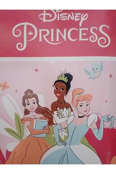 Taç CROWN DISNEY PRINCESS FUN TOGETHER SINGLE PERSONAL BLANKET