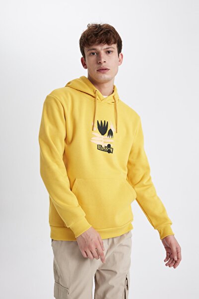 DeFacto Regular Fit Hooded Sweatshirt