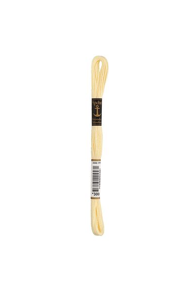 Anchor Muline 8m Embroidery Thread - 00300