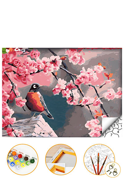Talehobby Kuş ve Çiçek - Sayılarla Boyama Seti Kasnağa Gerili 40x50cm Boyalar ve Fırçalar Dahil