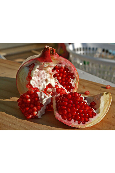 FidanBudur 1 Kg Dalından Tazecik Doğal Hicaz Nar