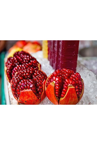 FidanBudur 1 Kg Dalından Tazecik Doğal Hicaz Nar