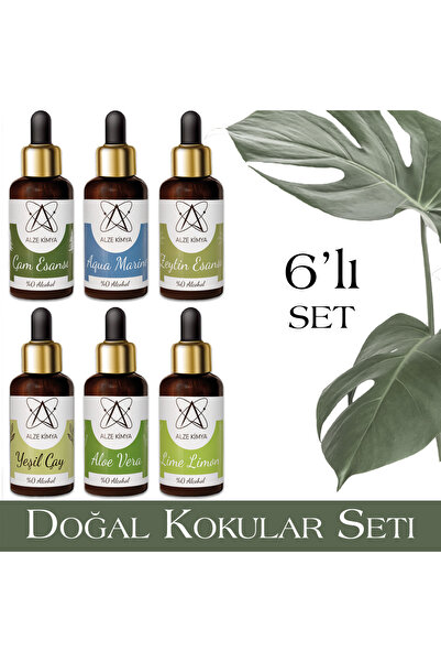 Alze Kimya Doğal Kokular Esans Seti | Uçucu Yağ | Buhurdanlık | Mum Yapımı 10 ml x 6 ad