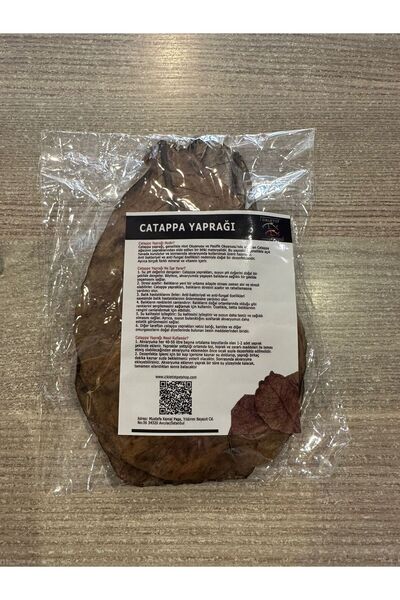 Cikletist Catappa Yaprağı L Boy (19-22 CM) 10 Adet