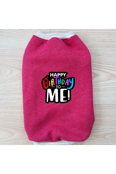 stylie Winter Birthday Special Sleeveless Charmed Cat And Small Breed Dog Outfit