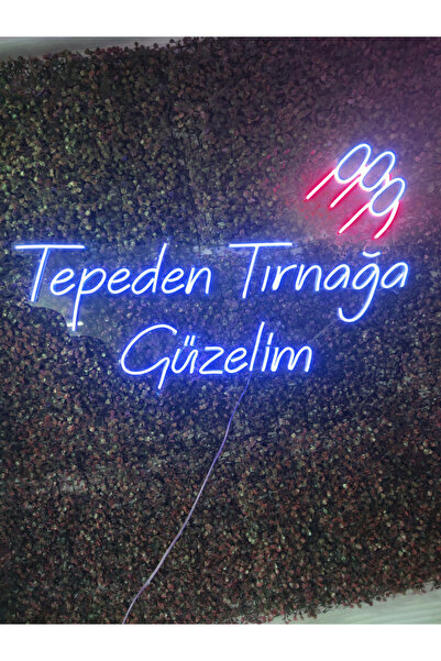dekoraven Tepeden Tırnağa Güzelim Güzellik merkezi kuaför neon led tabela (80...