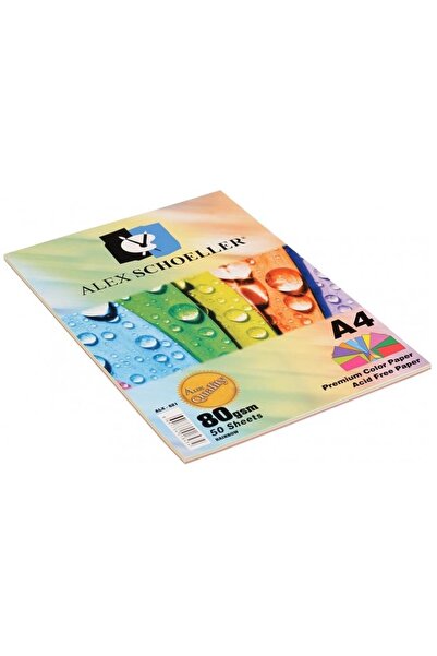 Alex Schoeller 50 ورقة نسخ ملونة مقاس A4 - 5 ألوان