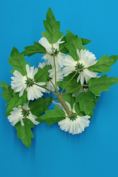 MD Aspiz Flowers Büyük Demet Krizantem Kafalı Karanfil Pampas Okaliptus Sarkan Lale Demeti Çit Yapraklı Kokina