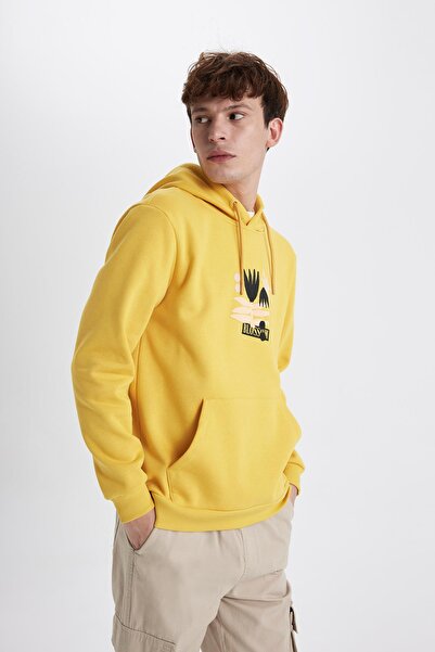DeFacto Regular Fit Hooded Sweatshirt