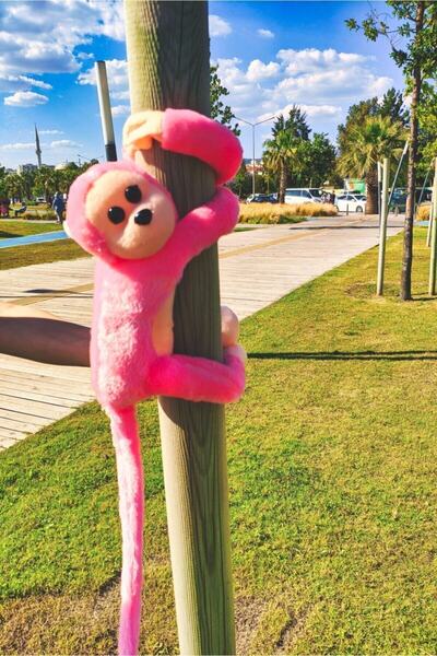 TOPROCKSTORE Cute Hugging Monkey Pink with Voice