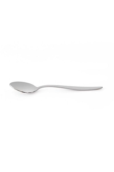 Aryıldız 6 Pieces Vacuumed Elegant Teaspoon